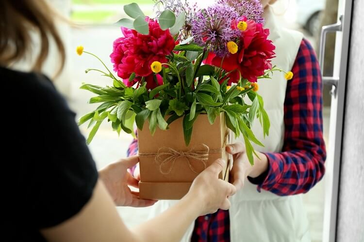 Resultado de imagem para presente flores plantadas